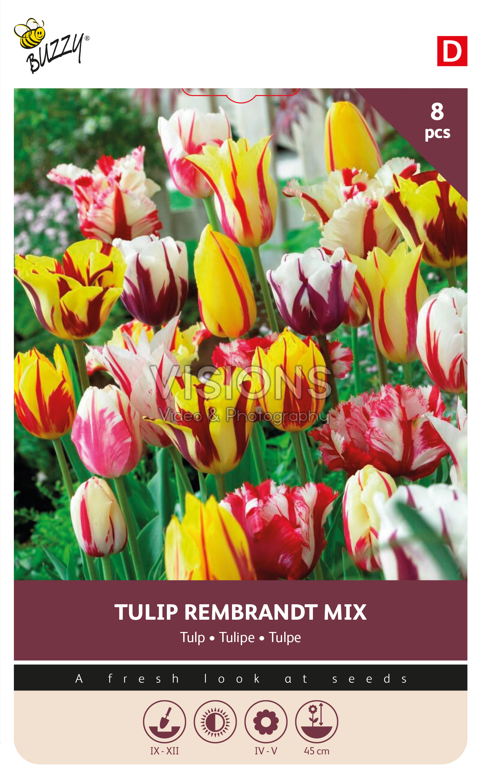 Buzzy® Bulbs Tulip Rembrandt mix 11/12  8pcs.