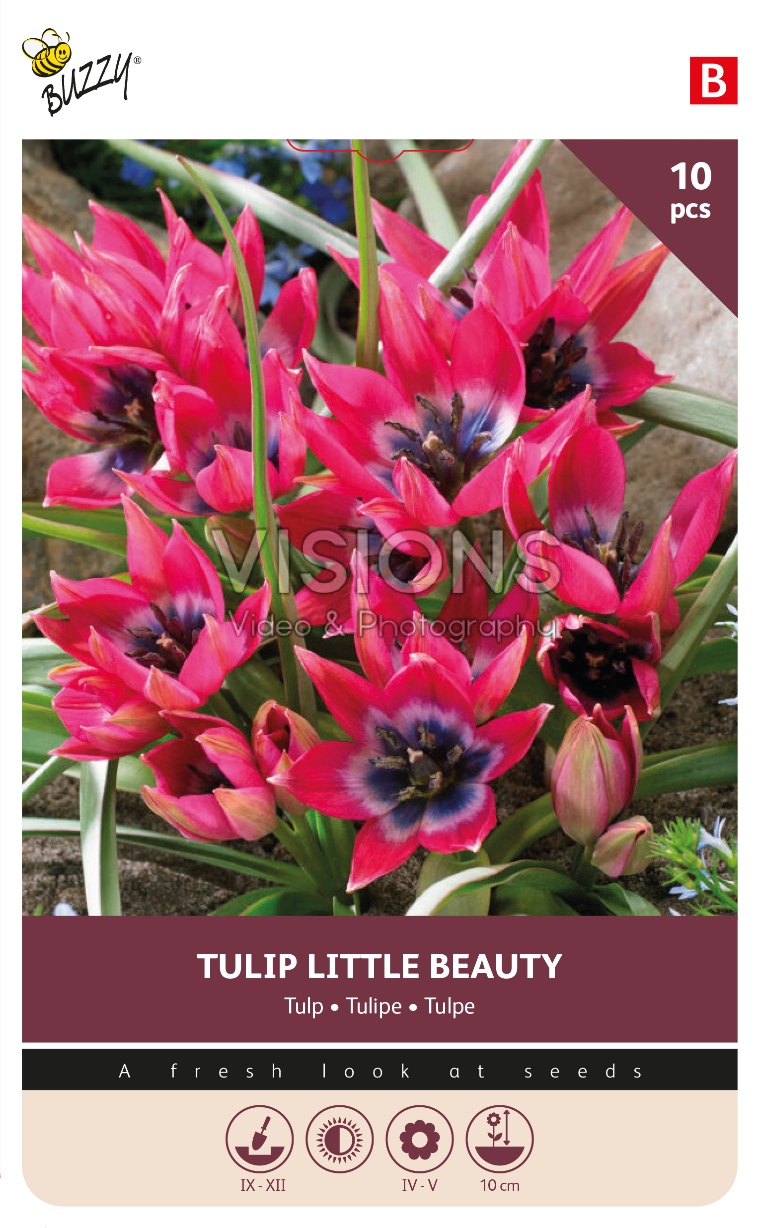 Buzzy® Bulbs Tulp Pulchella Little Beauty 6/7 10st.