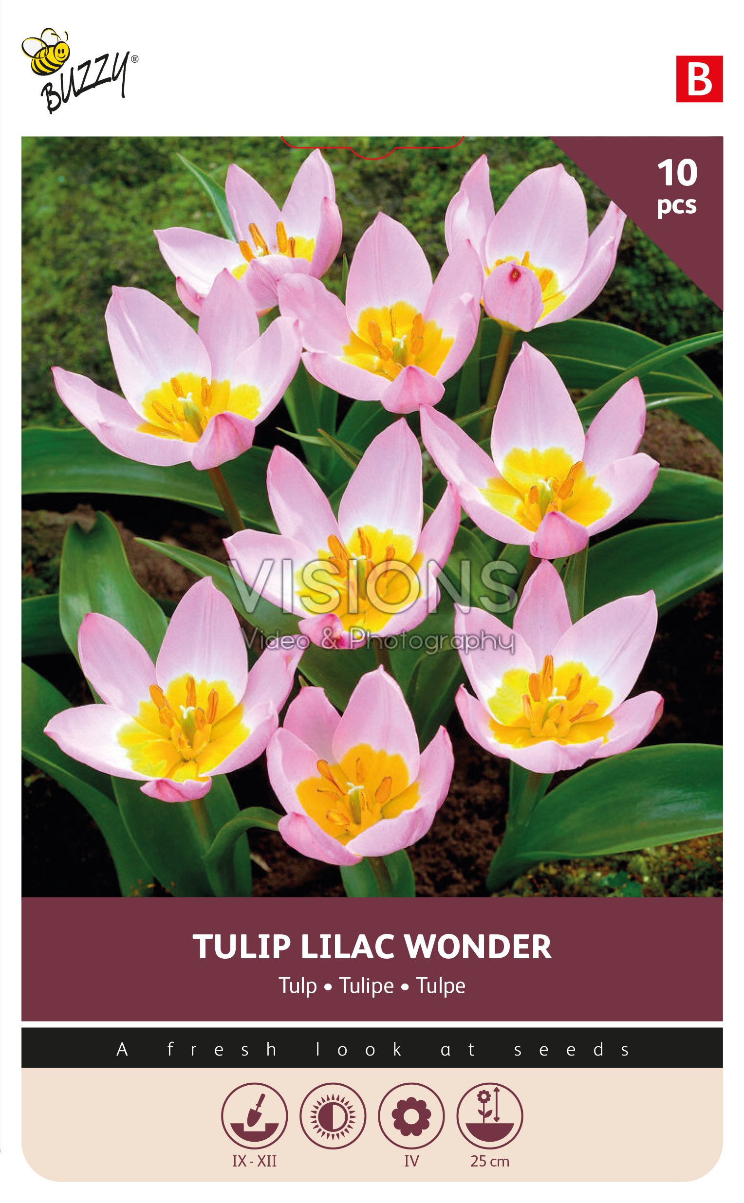 Buzzy® Bulbs Tulp Bakeri Lilac Wonder 6/7 10st.