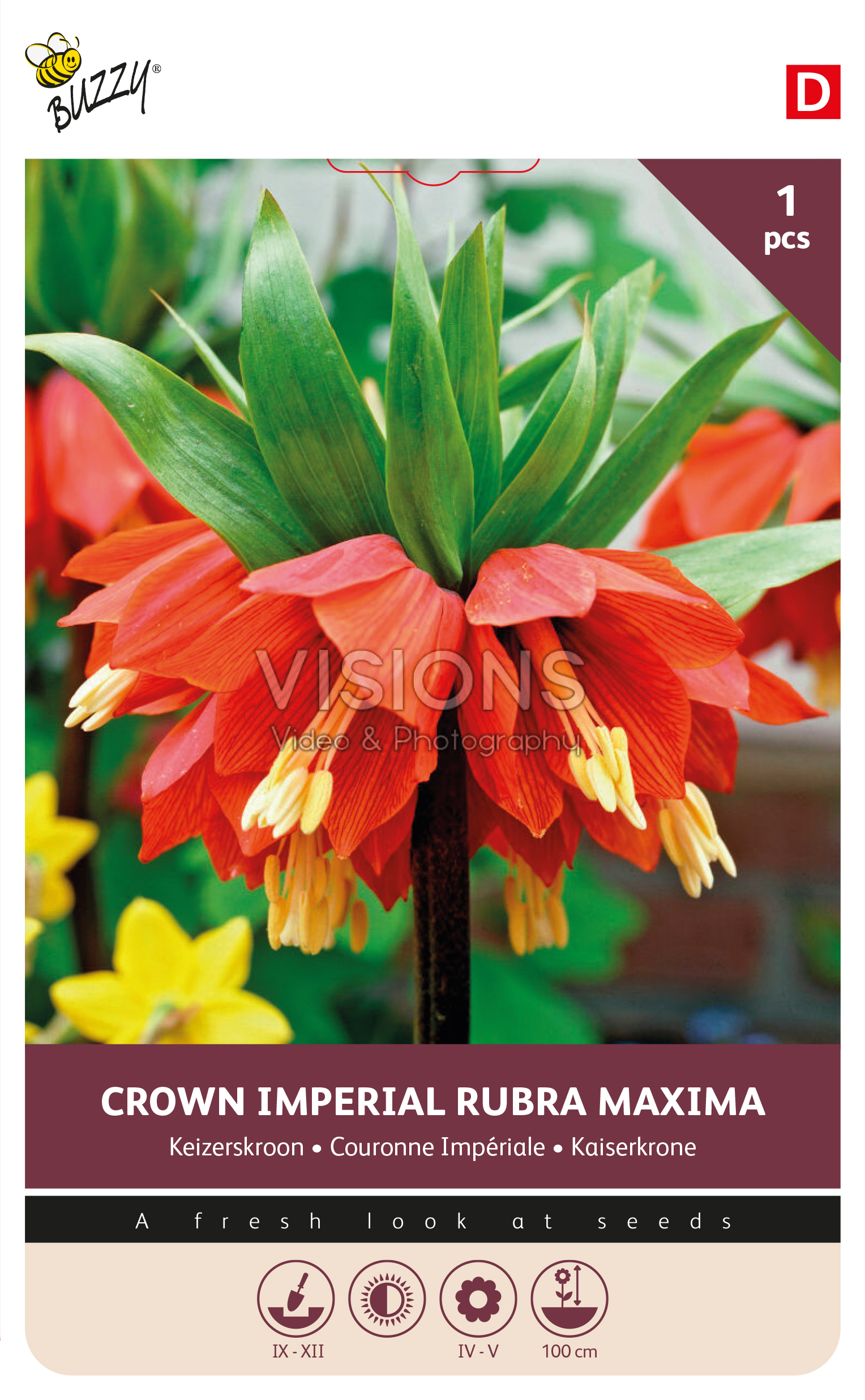 Buzzy® Bulbs Fritillaria imperialis Rubra 20/24 1st.