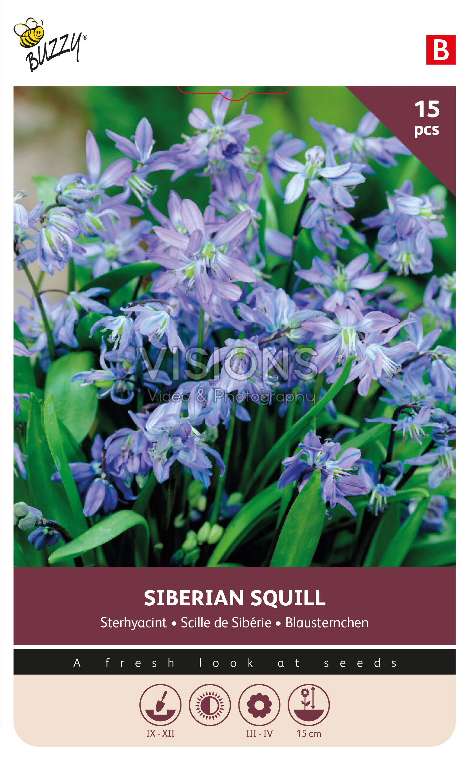 Buzzy® Bulbs Scilla Siberica 7/8 15pcs.