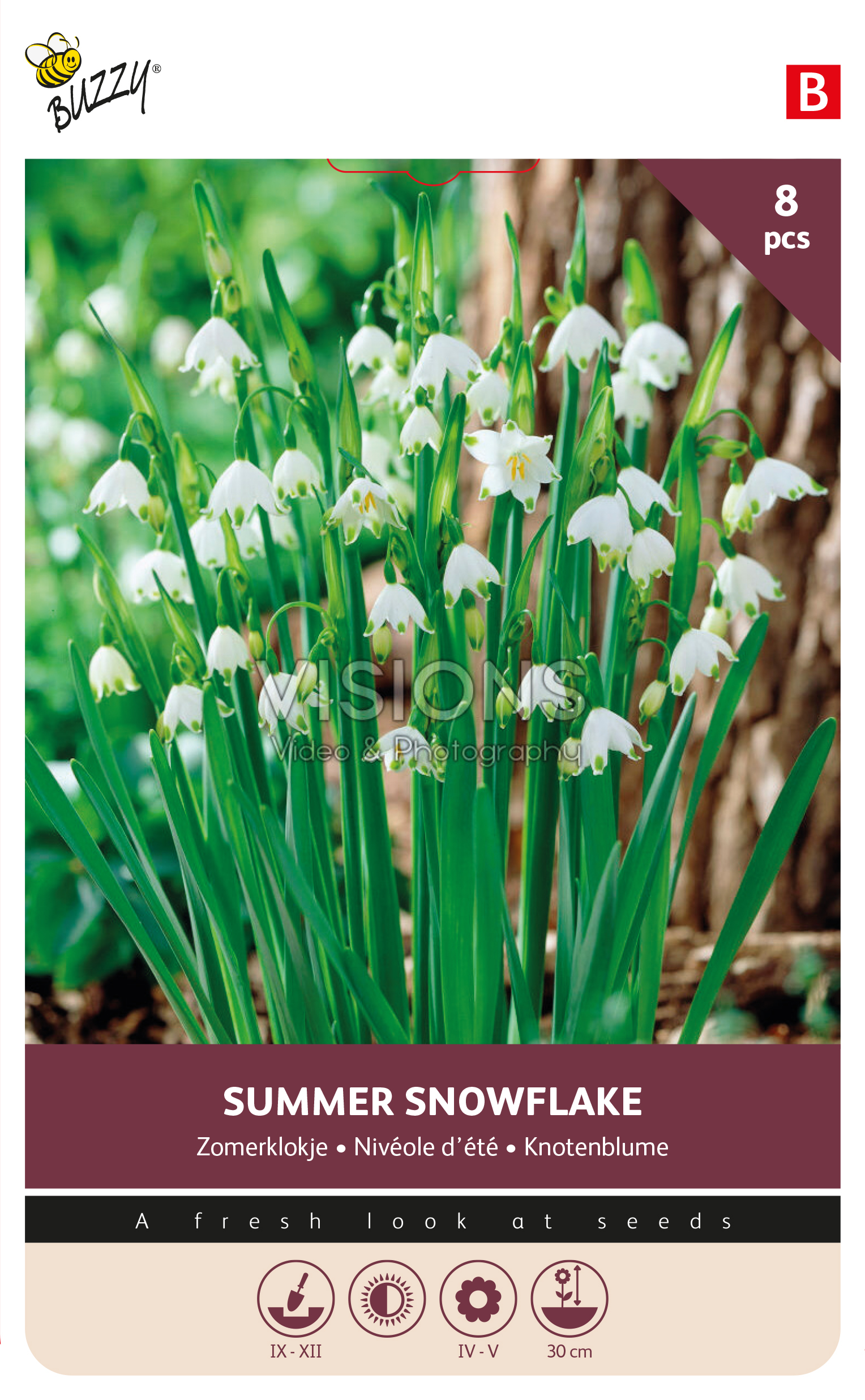 Buzzy® Bulbs Leucojum Aestivum 8/9 8pcs.
