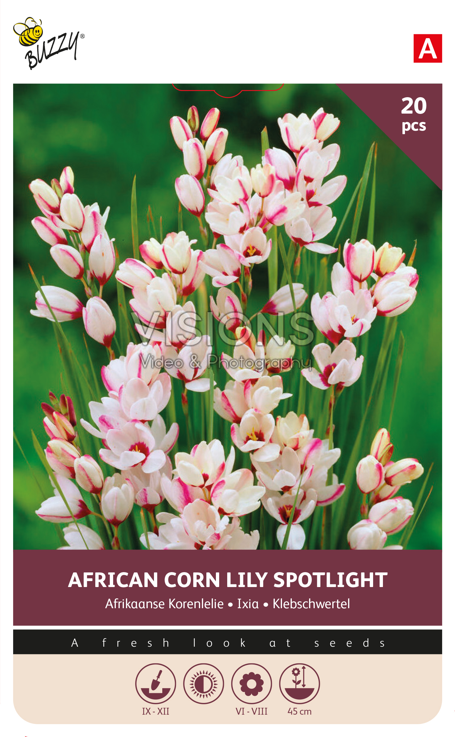 Buzzy® Bulbs Ixia Spotlight 5/6 20pcs.