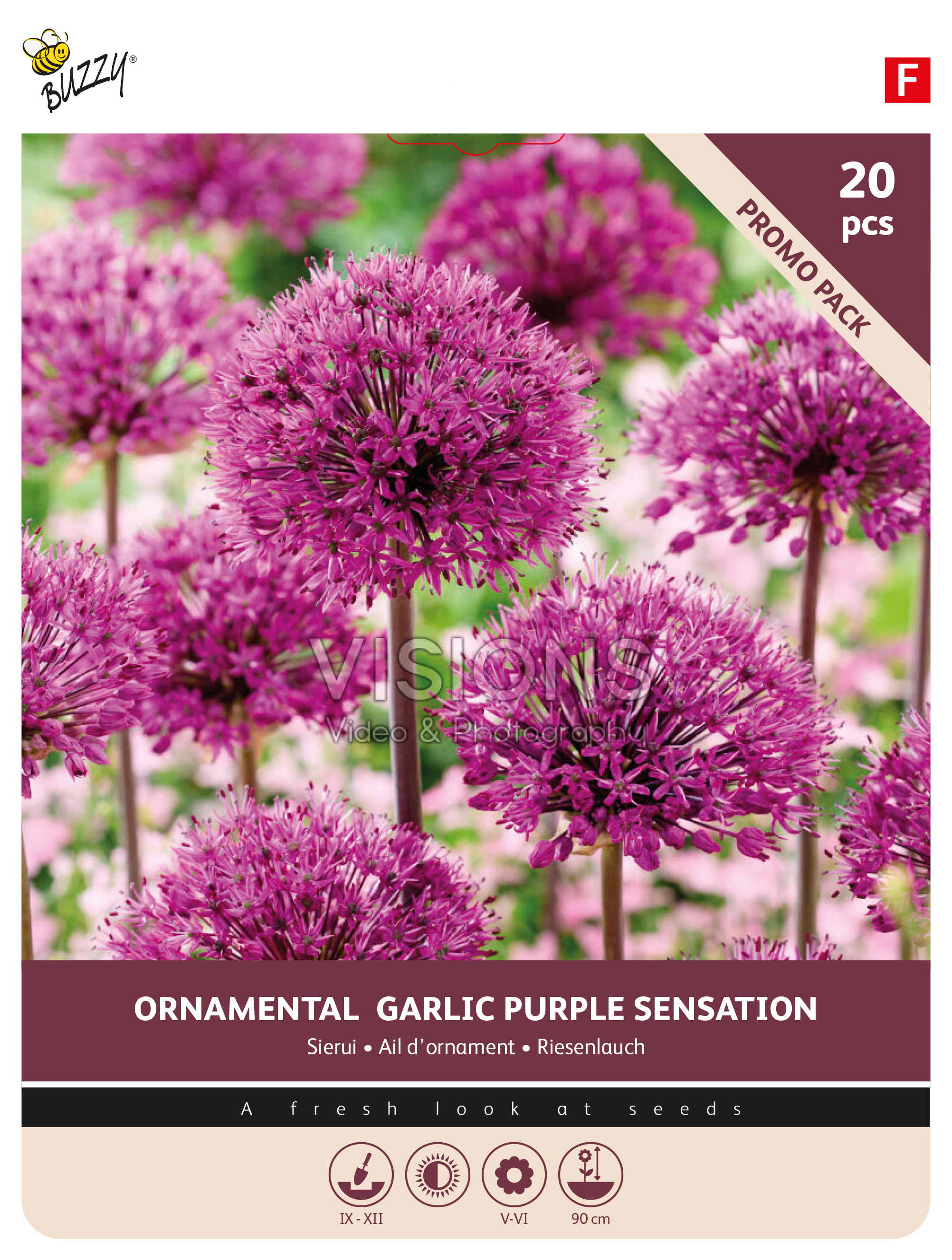 Buzzy® Bulbs Allium Purple Sensation 10/12 20pc.