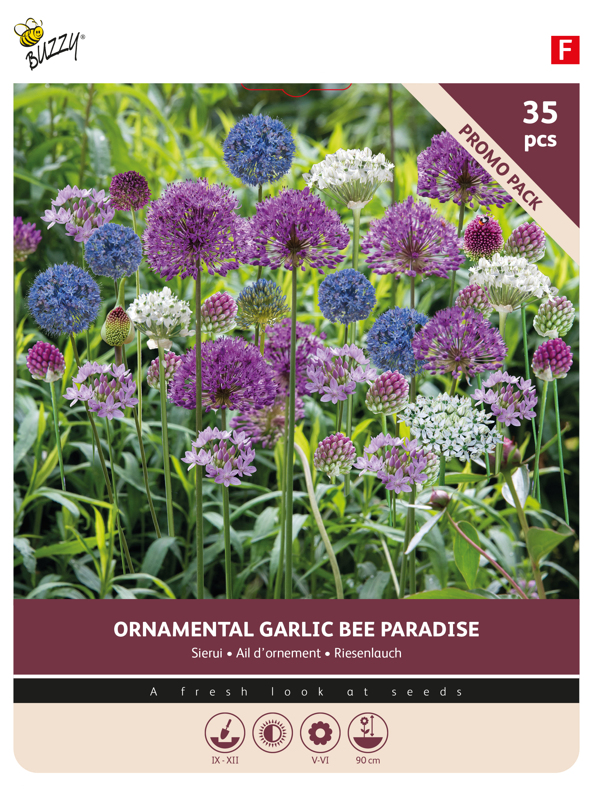 Buzzy® Bulbs Allium Bee paradise 35pc.