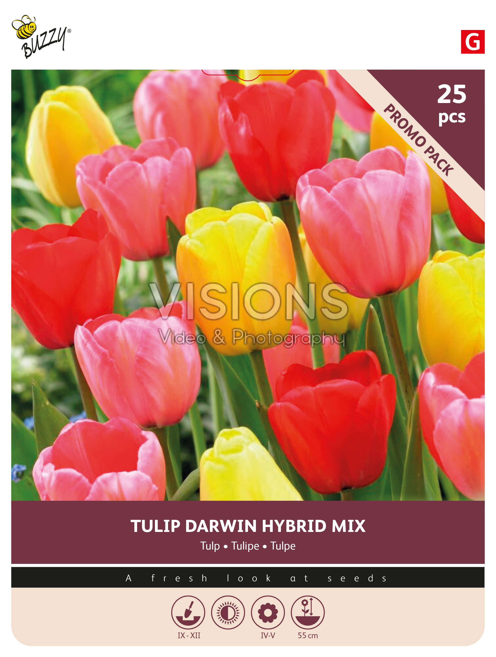 Buzzy® Bulbs Tulp Darwin gemengd 11/12 25st.