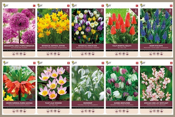 Profit Bulbs Autumn Collection 40x5 Bags