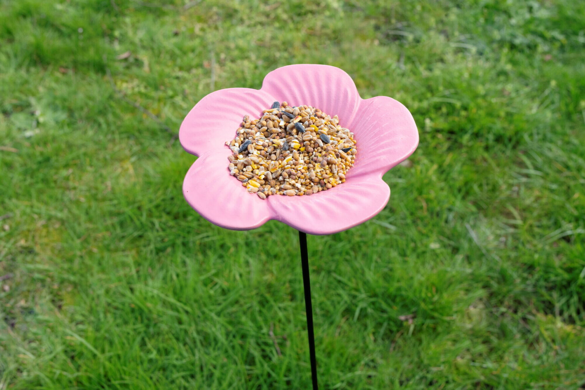 Bûten Gift Feeder Stake Malva