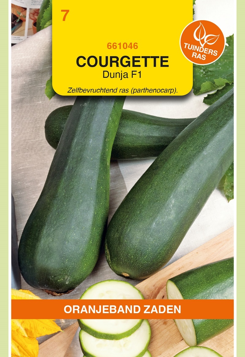 OBZ Courgette Dunja (voorheen Partenon) F1