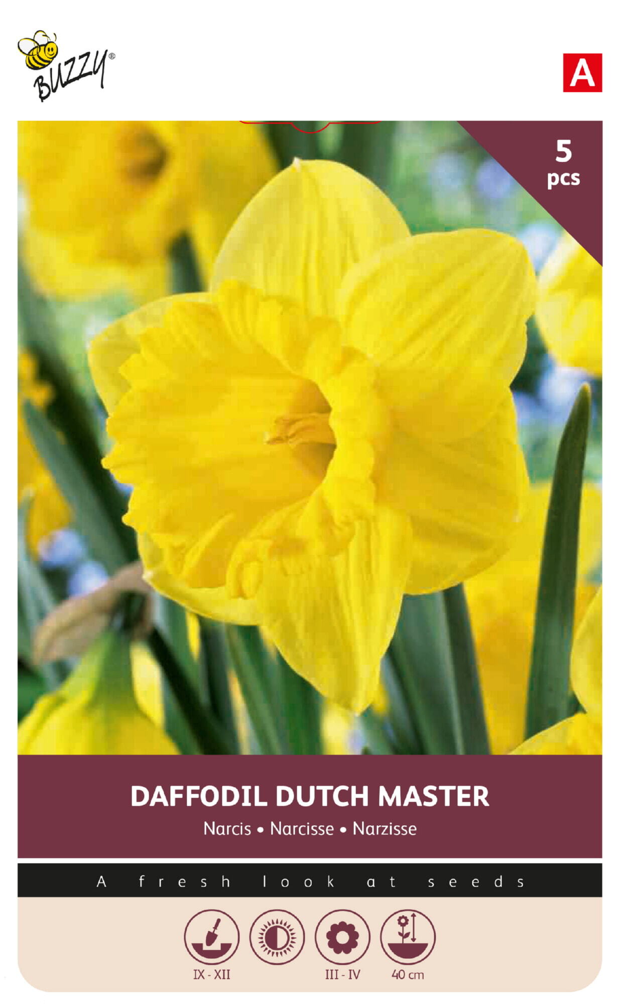 Buzzy® Bulbs Narcissus Dutch Master 12/14 5pcs.