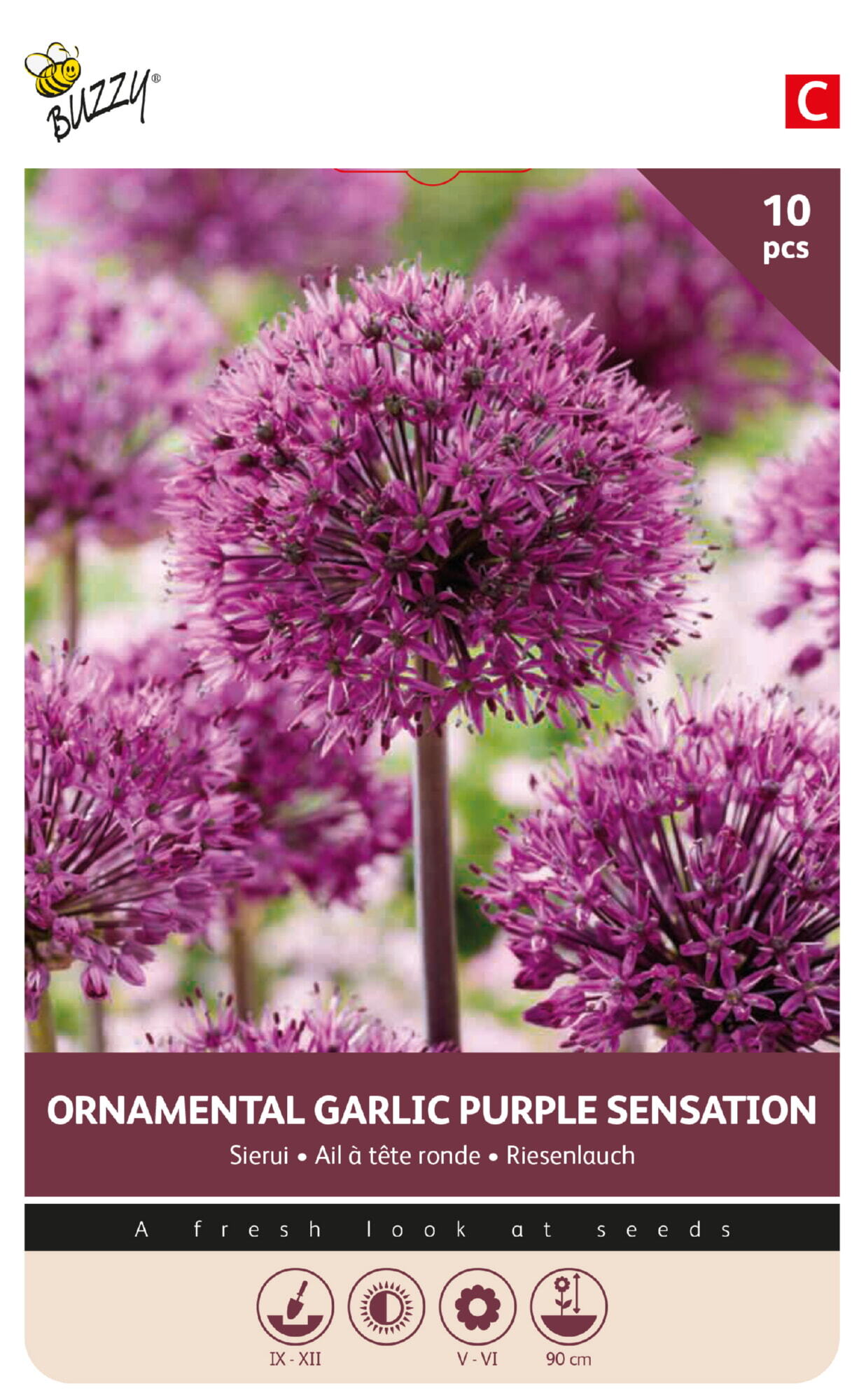Buzzy® Bulbs Allium Violet Sensation 10/12