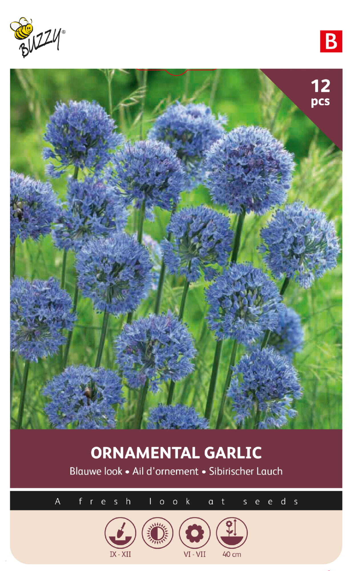 Buzzy® Bulbs Allium Caeruleum 5/6