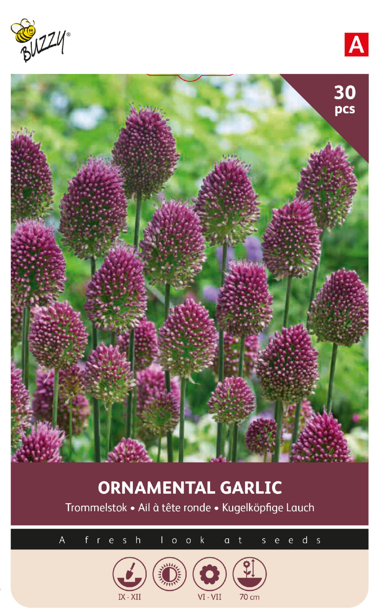Buzzy® Bulbs Allium Sphaerocephalum 5/6