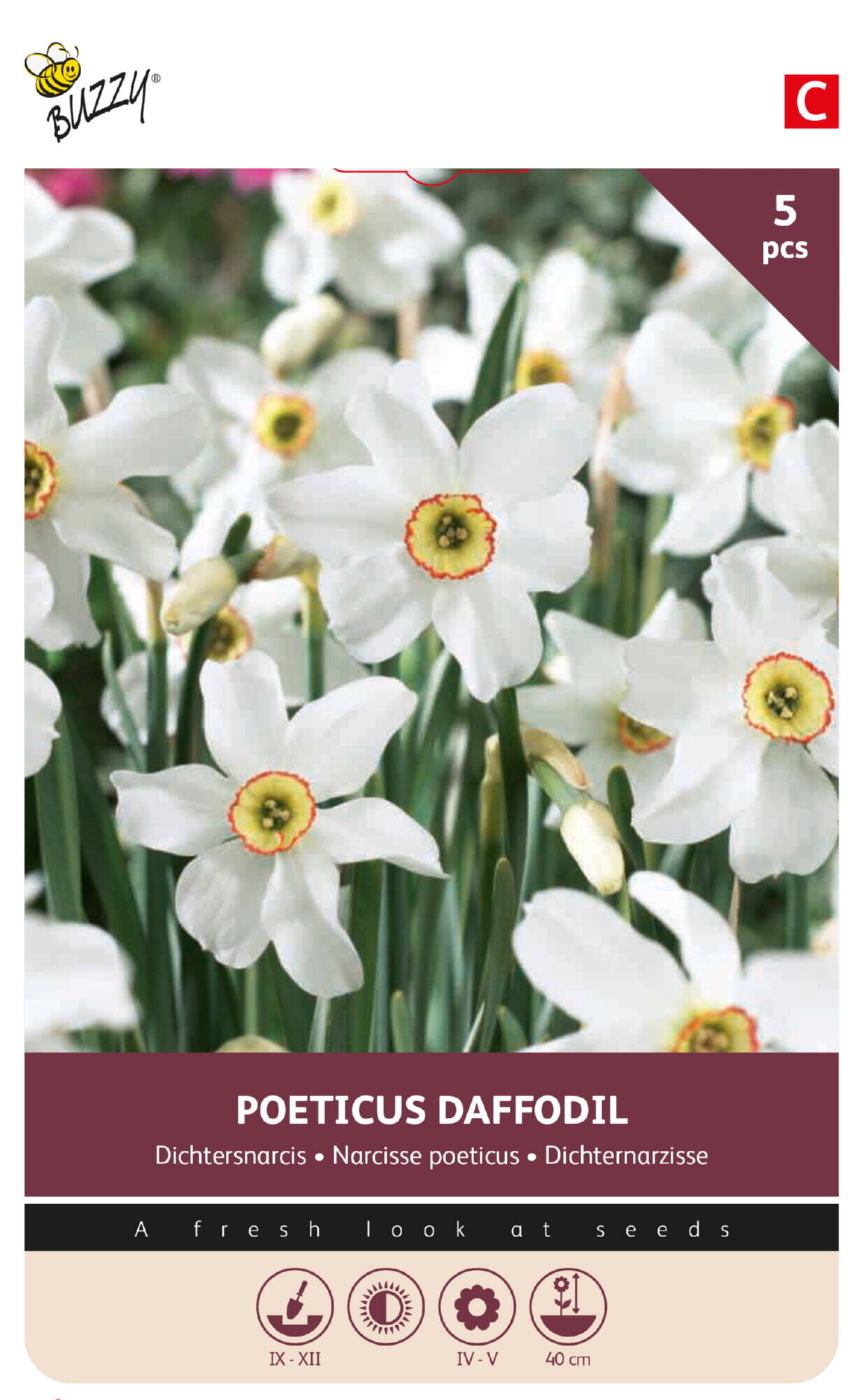 Buzzy® Bulbs Narcisse Recurvus 12/14 5pcs.