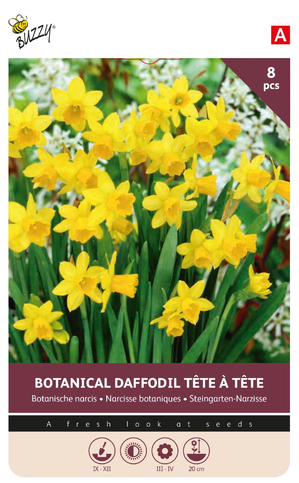 Buzzy® Bulbs Narcisse Tete a Tete 10/11 8st.
