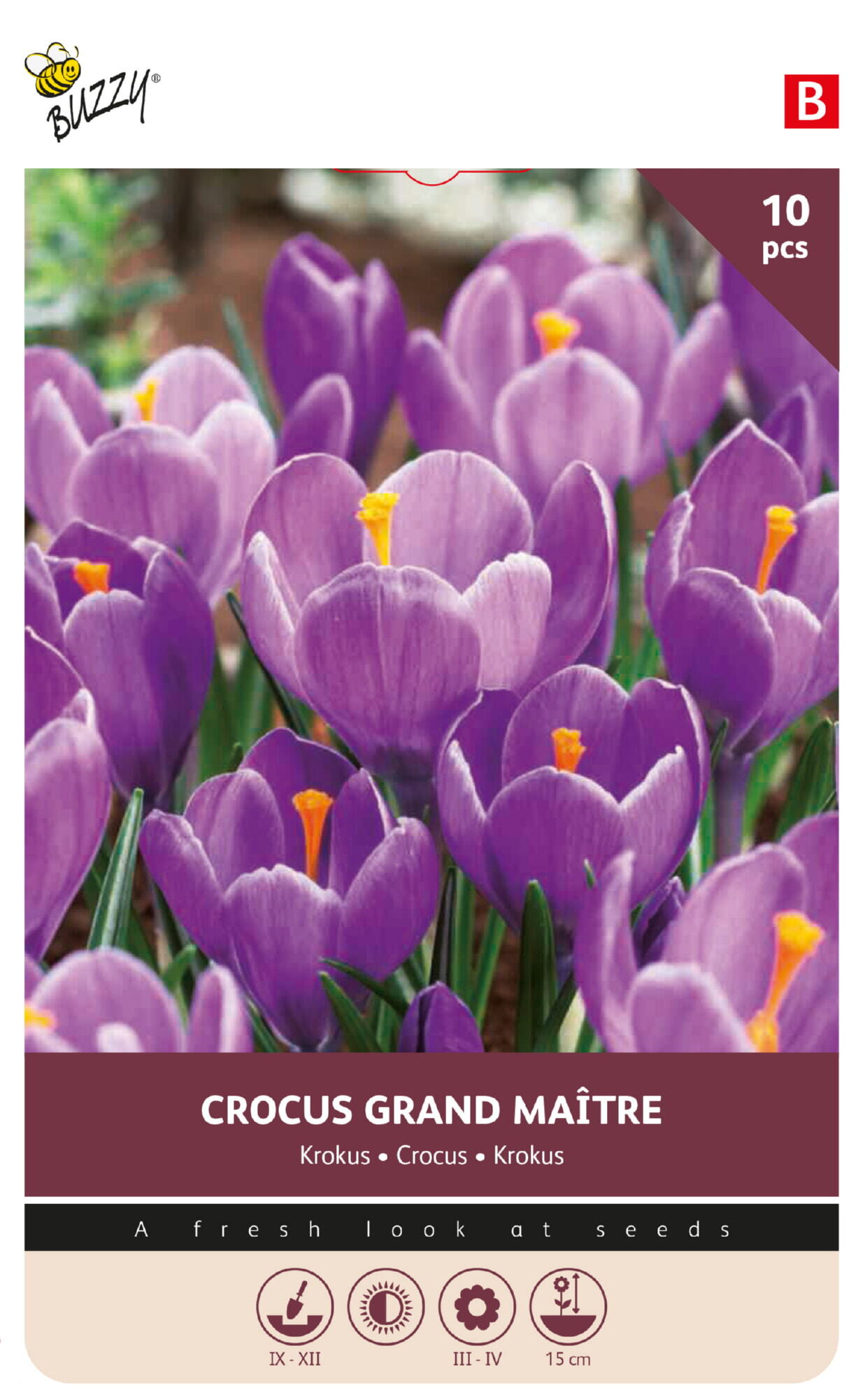 Buzzy® Bulbs Krokus Grand Maitre 8/9 10st.