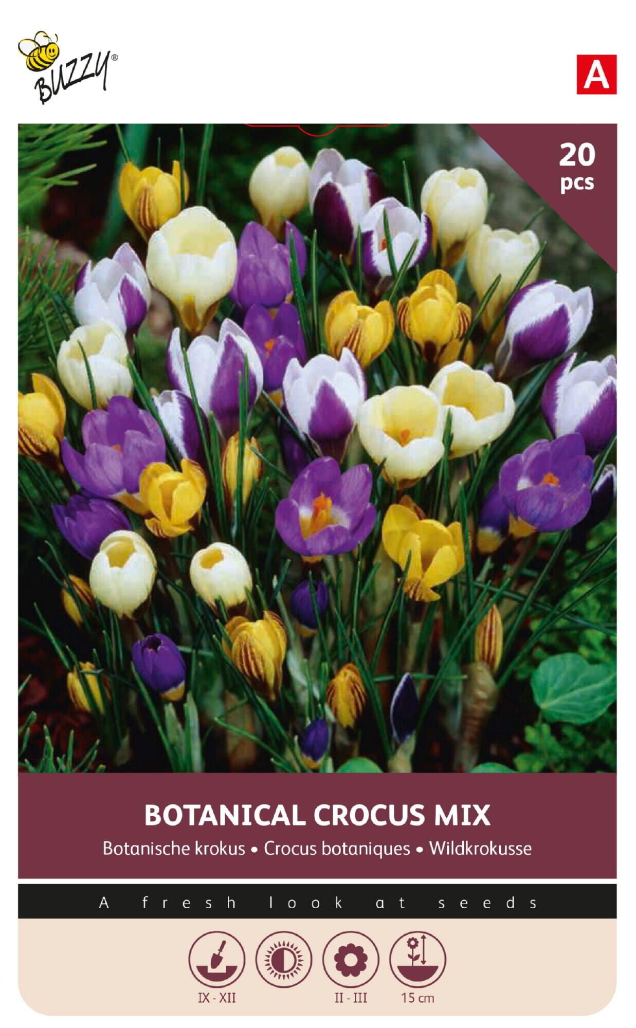 Buzzy® Bulbs Crocus Botanical mixed 5/7 20pcs.