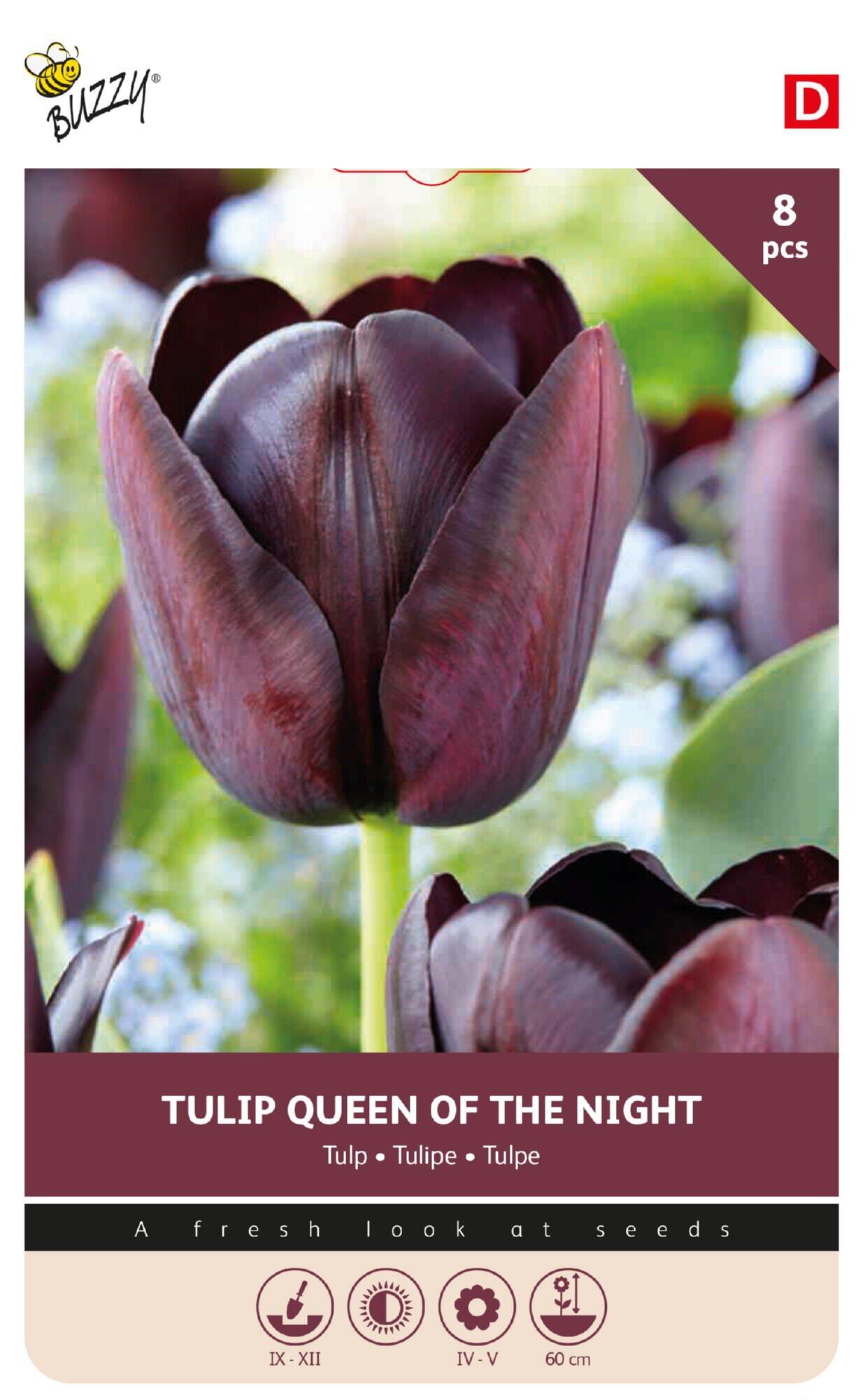 Buzzy® Bulbs Tulip Queen of Night 11/12  8pcs.