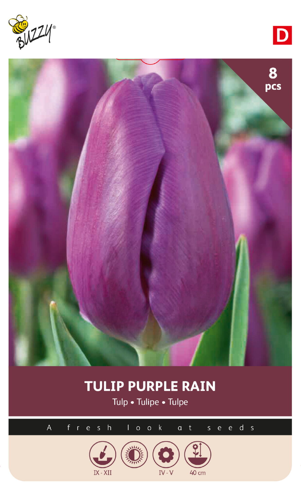 Buzzy® Bulbs Tulip Purple Rain 11/12  8pcs.