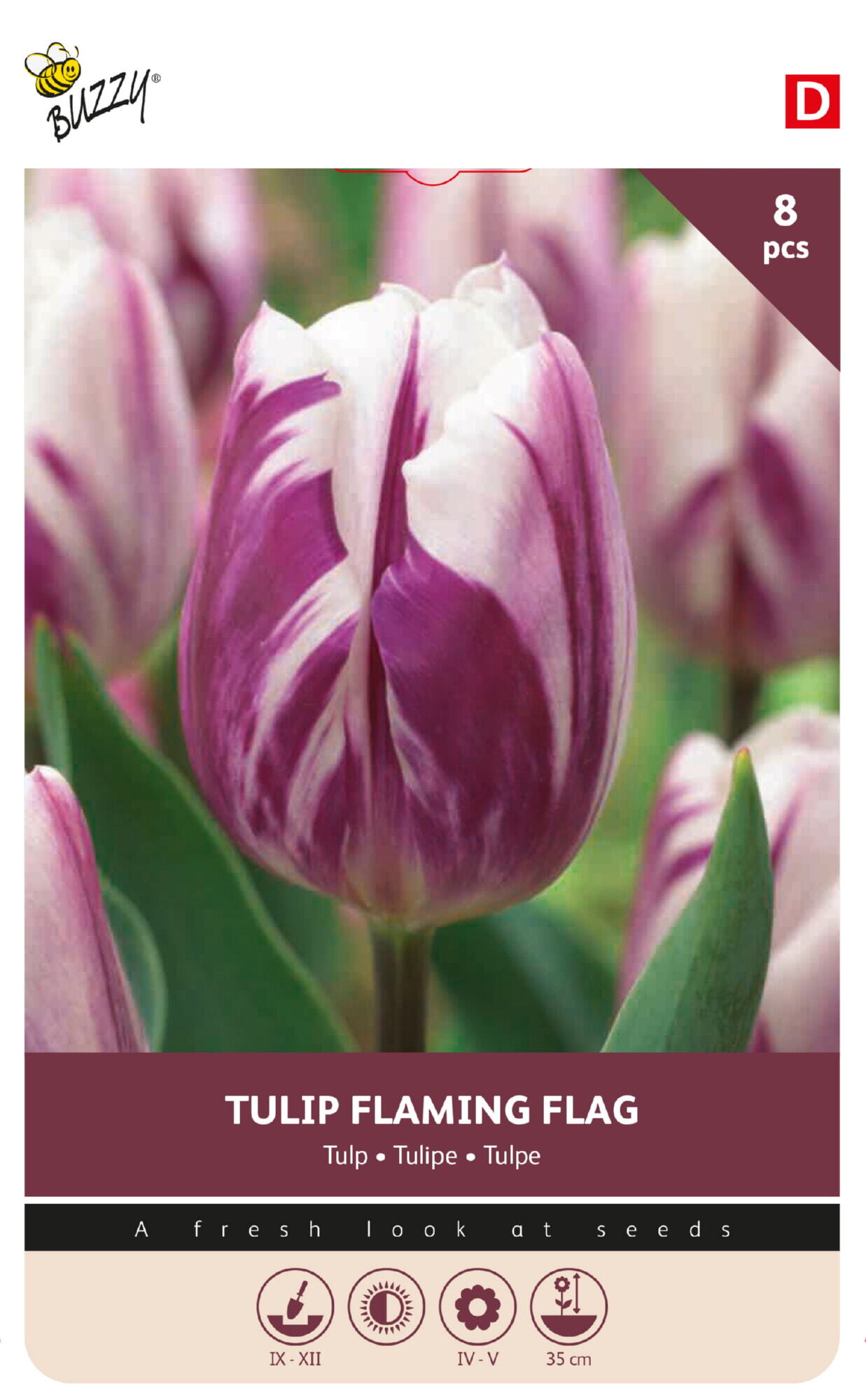 Buzzy® Bulbs Tulip Flaming Flag 11/12  8pcs.