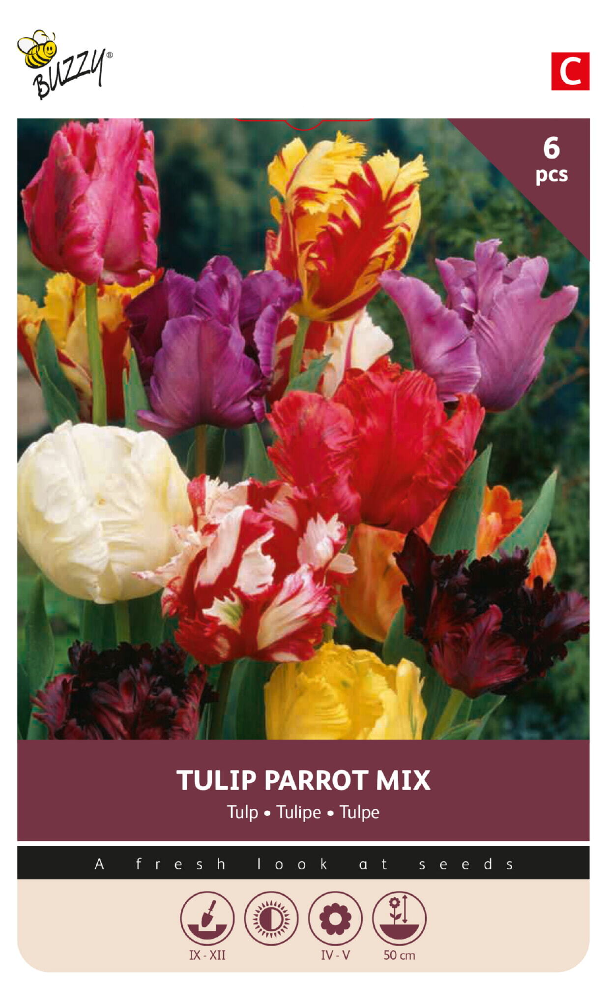 Buzzy® Bulbs Tulip Parkiet selected mix 11/12  6pcs.
