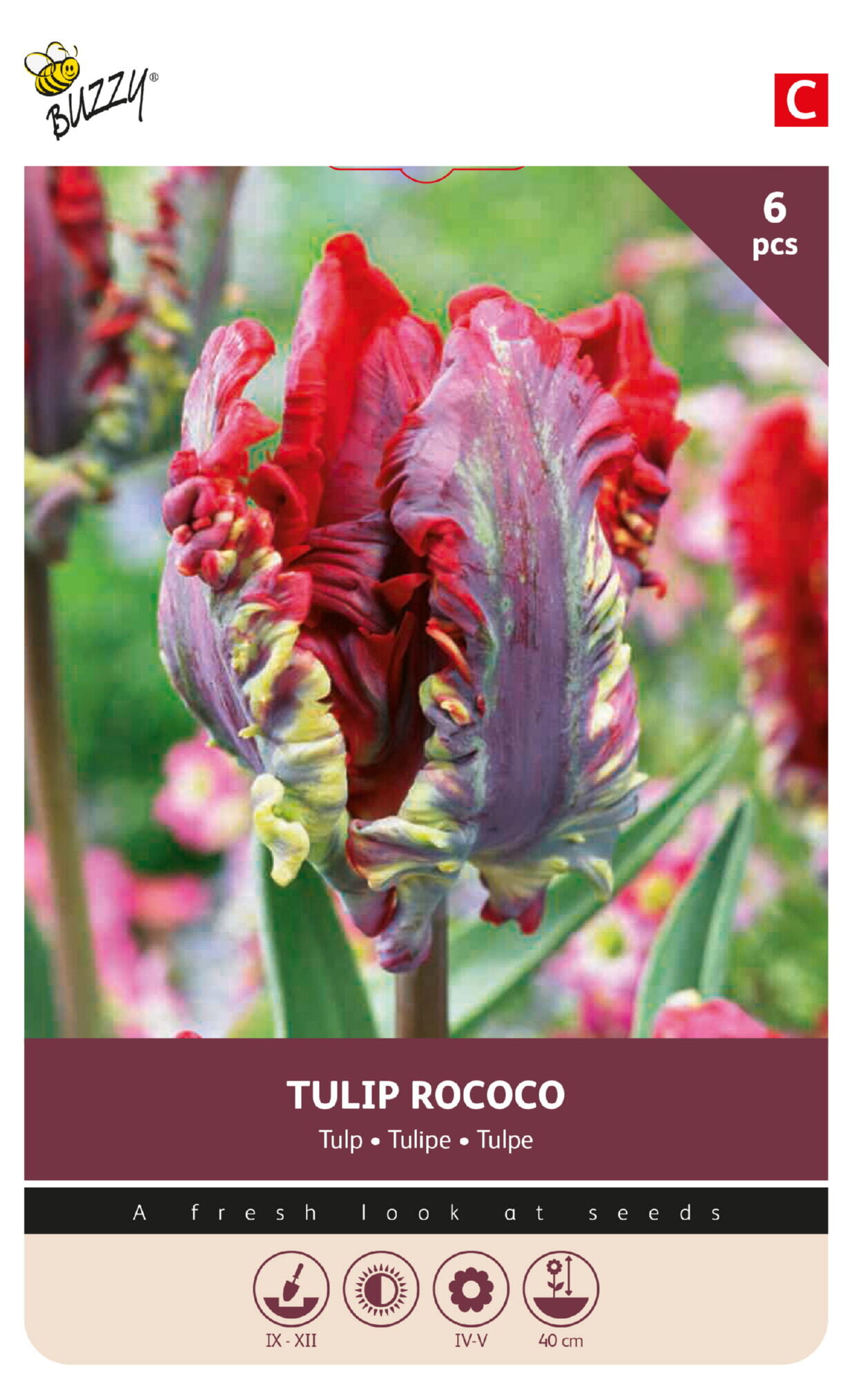 Buzzy® Bulbs Tulp Rococo 11/12  6st.