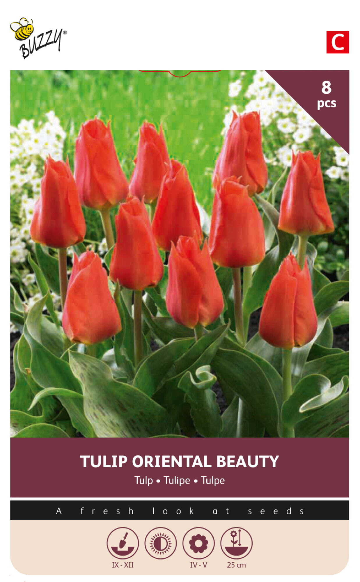 Buzzy® Bulbs Tulip Oriental Beauty 11/12  8pcs.