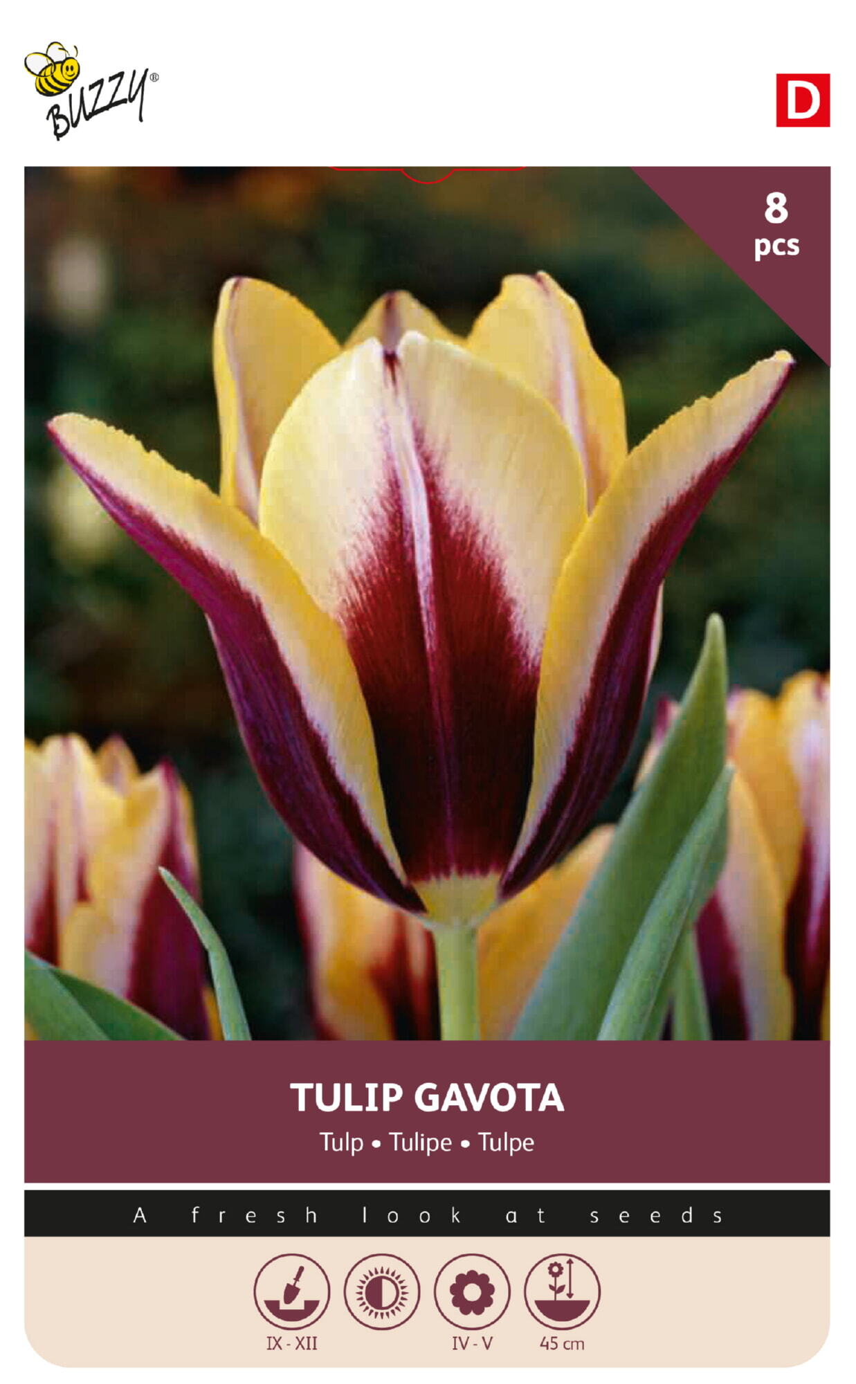 Buzzy® Bulbs Tulip Gavota 11/12  8pcs.