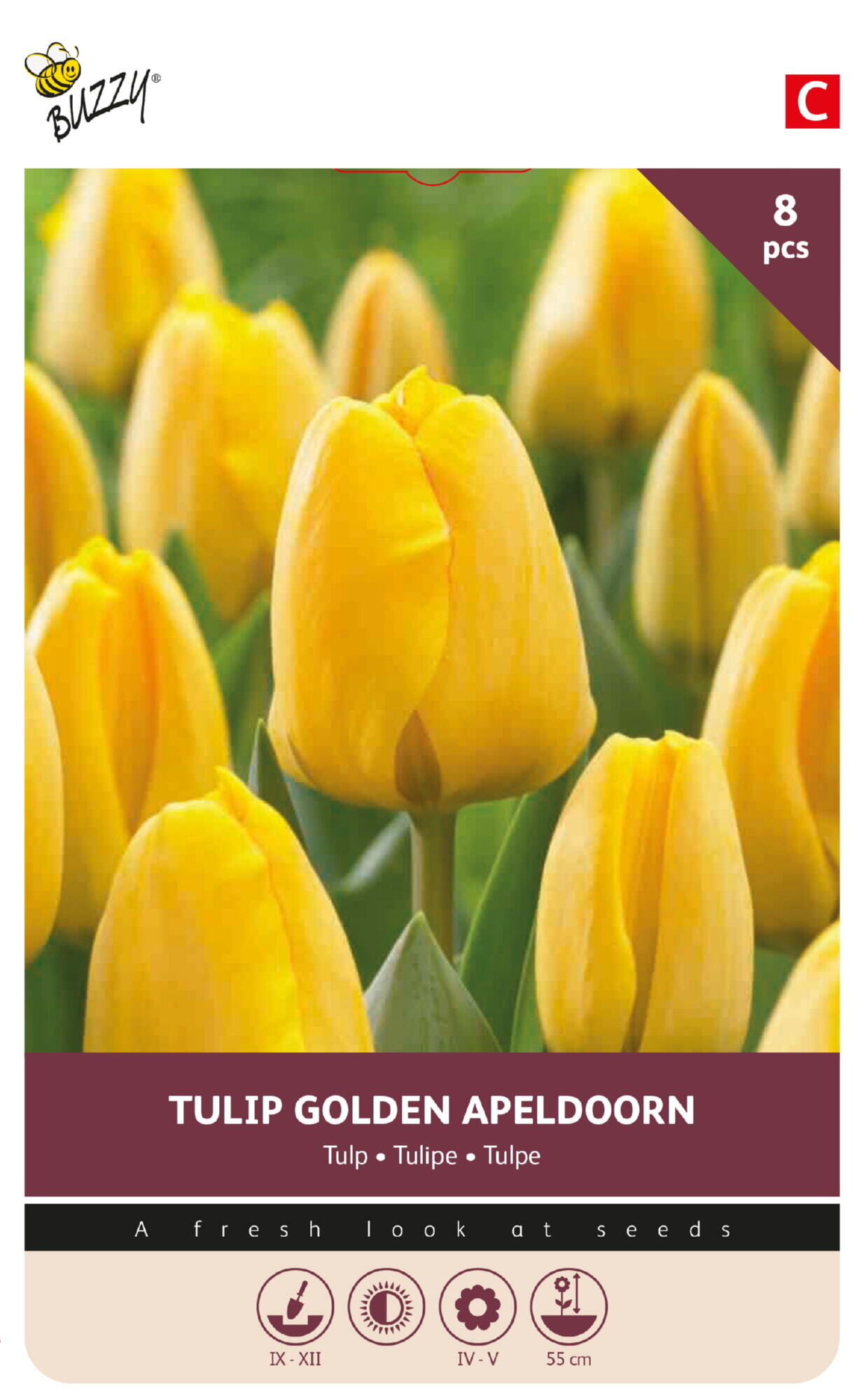 Buzzy® Bulbs Tulp Golden Apeldoorn 11/12  8st.