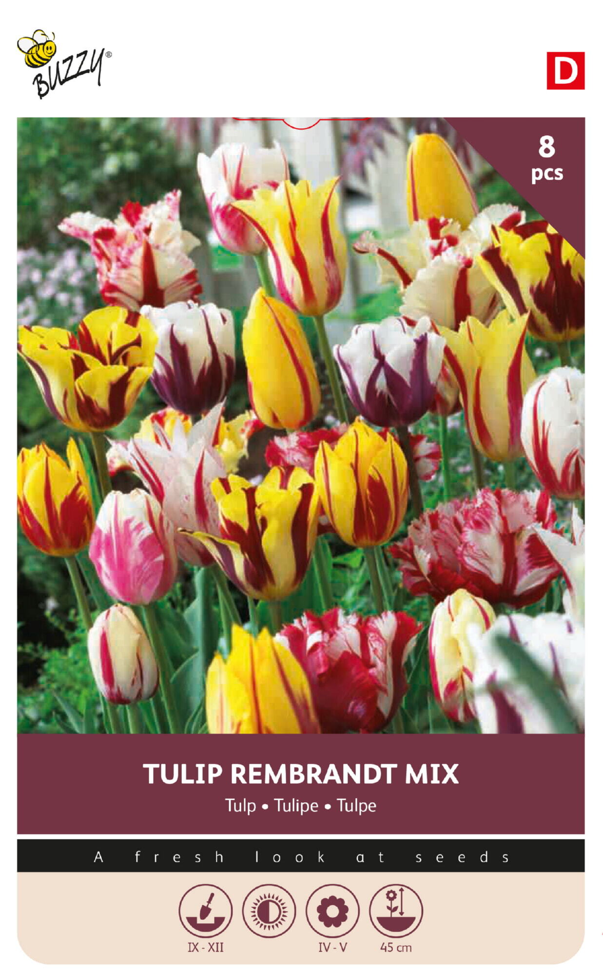 Buzzy® Bulbs Tulip Rembrandt mix 11/12  8pcs.