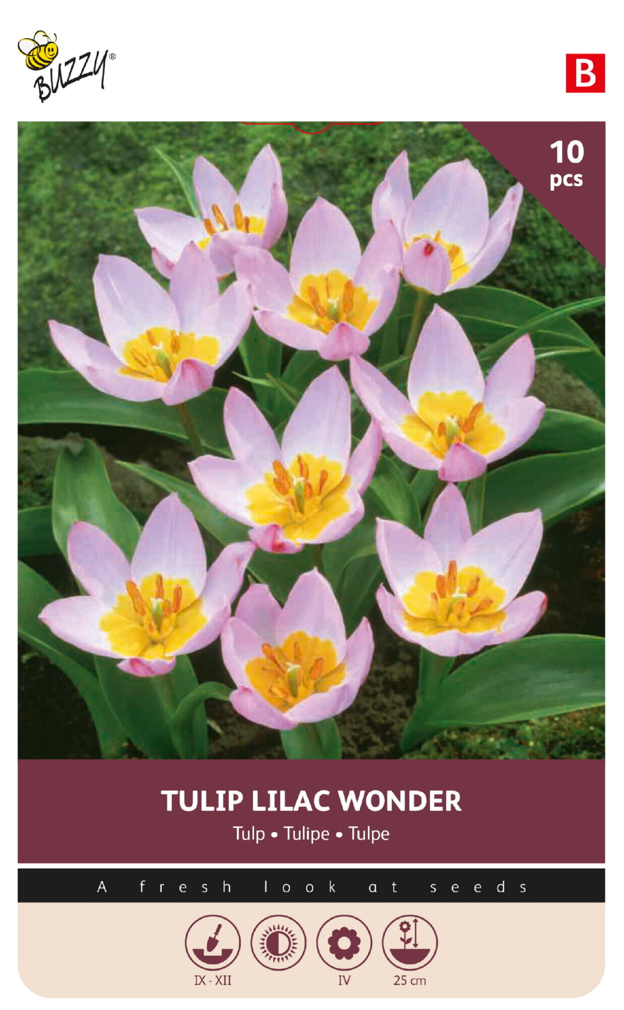 Buzzy® Bulbs Tulp Bakeri Lilac Wonder 6/7 10st.