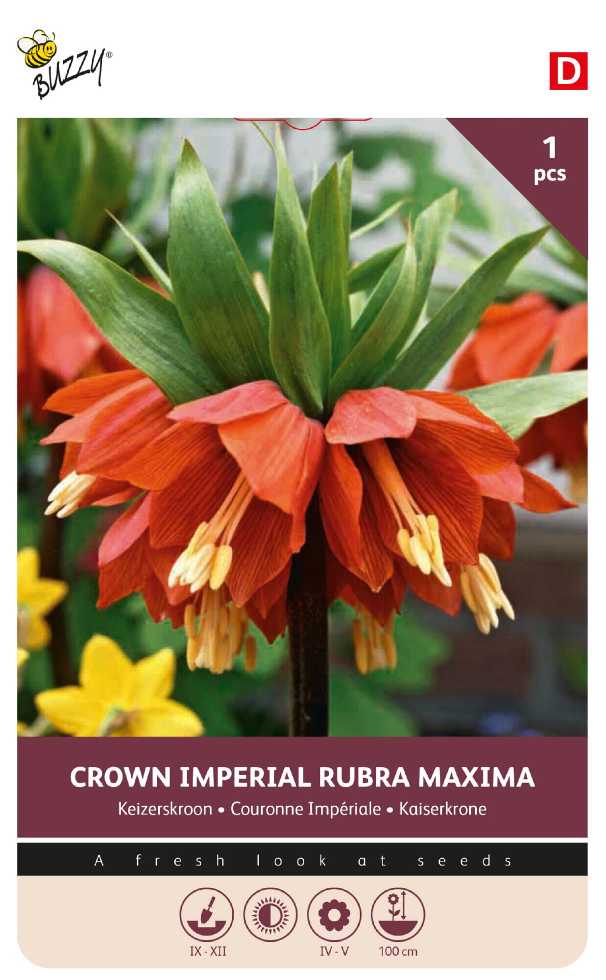 Buzzy® Bulbs Fritillaria imperialis Rubra 20/24 1pcs.
