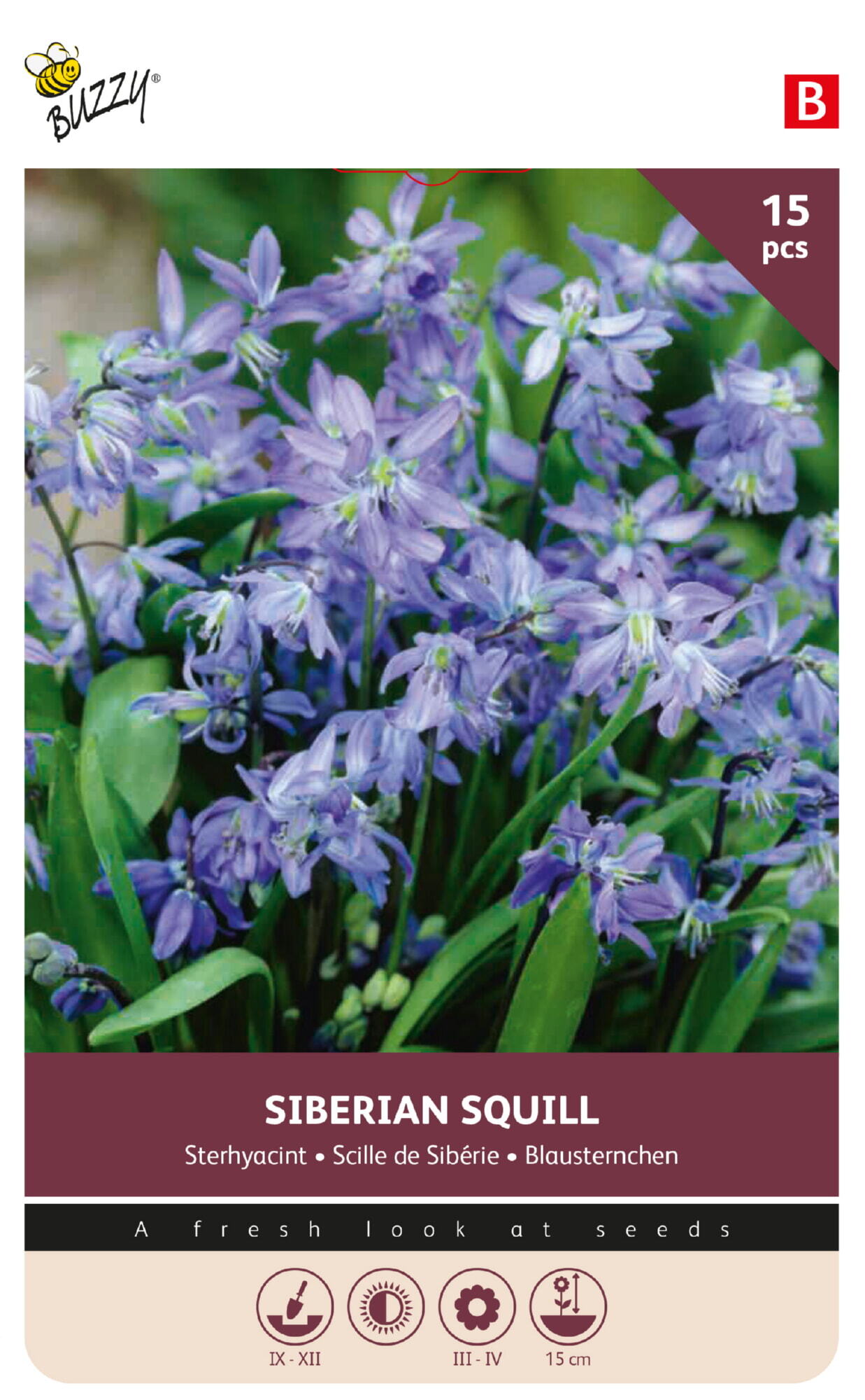 Buzzy® Bulbs Scilla Siberica 7/8 15pcs.
