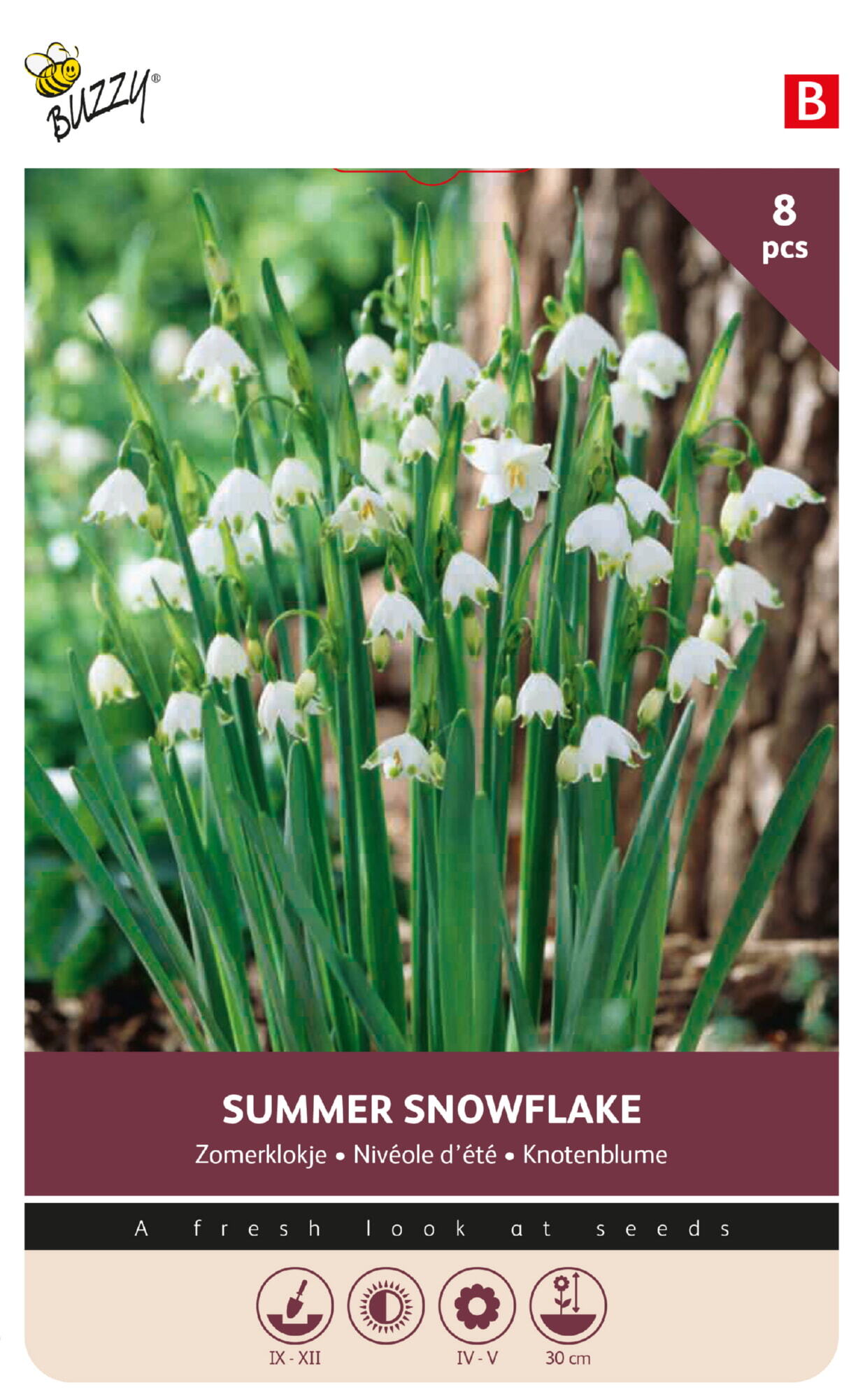 Buzzy® Bulbs Leucojum Aestivum 8/9 8pcs.
