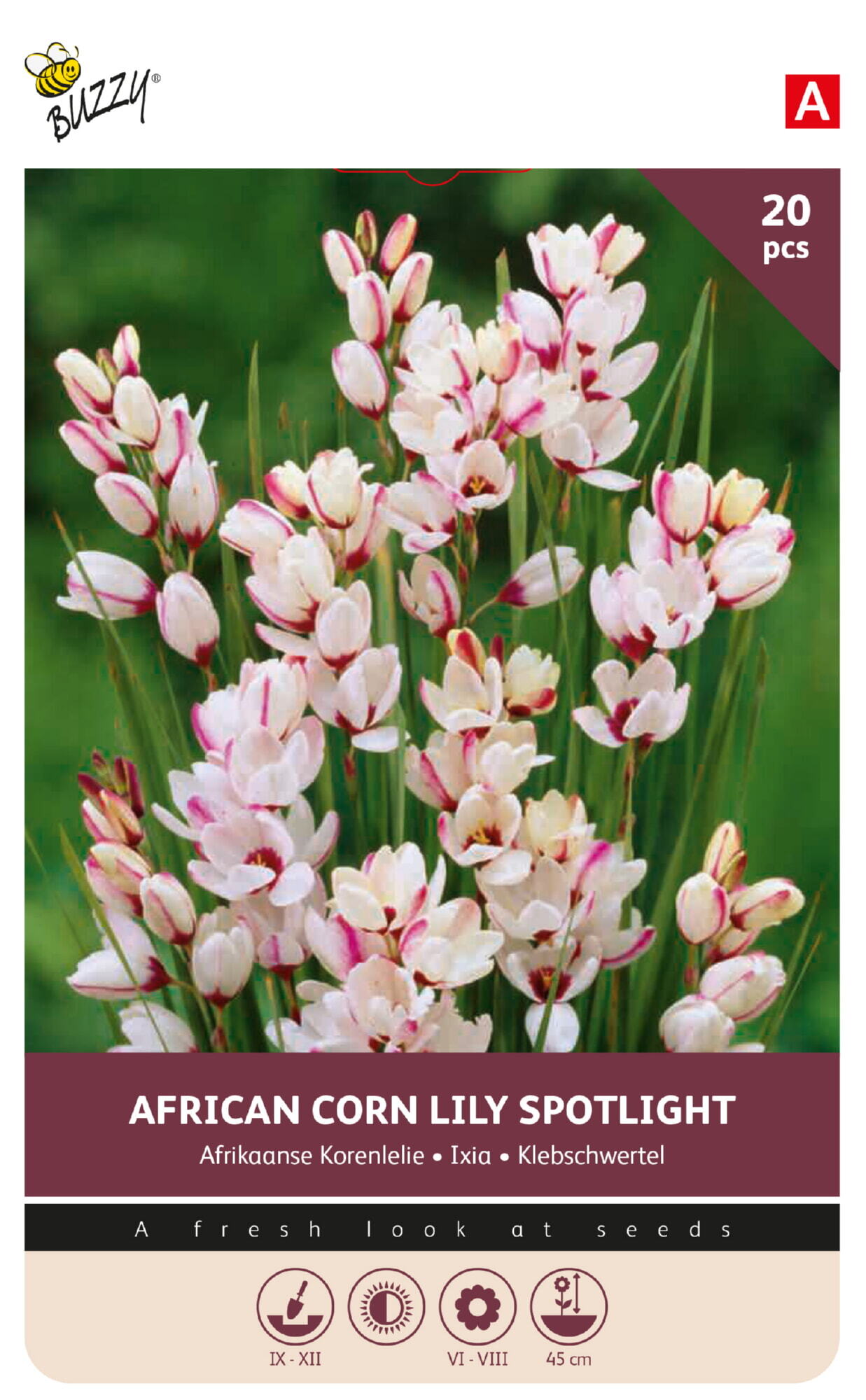 Buzzy® Bulbs Ixia Spotlight 5/6 20pcs.