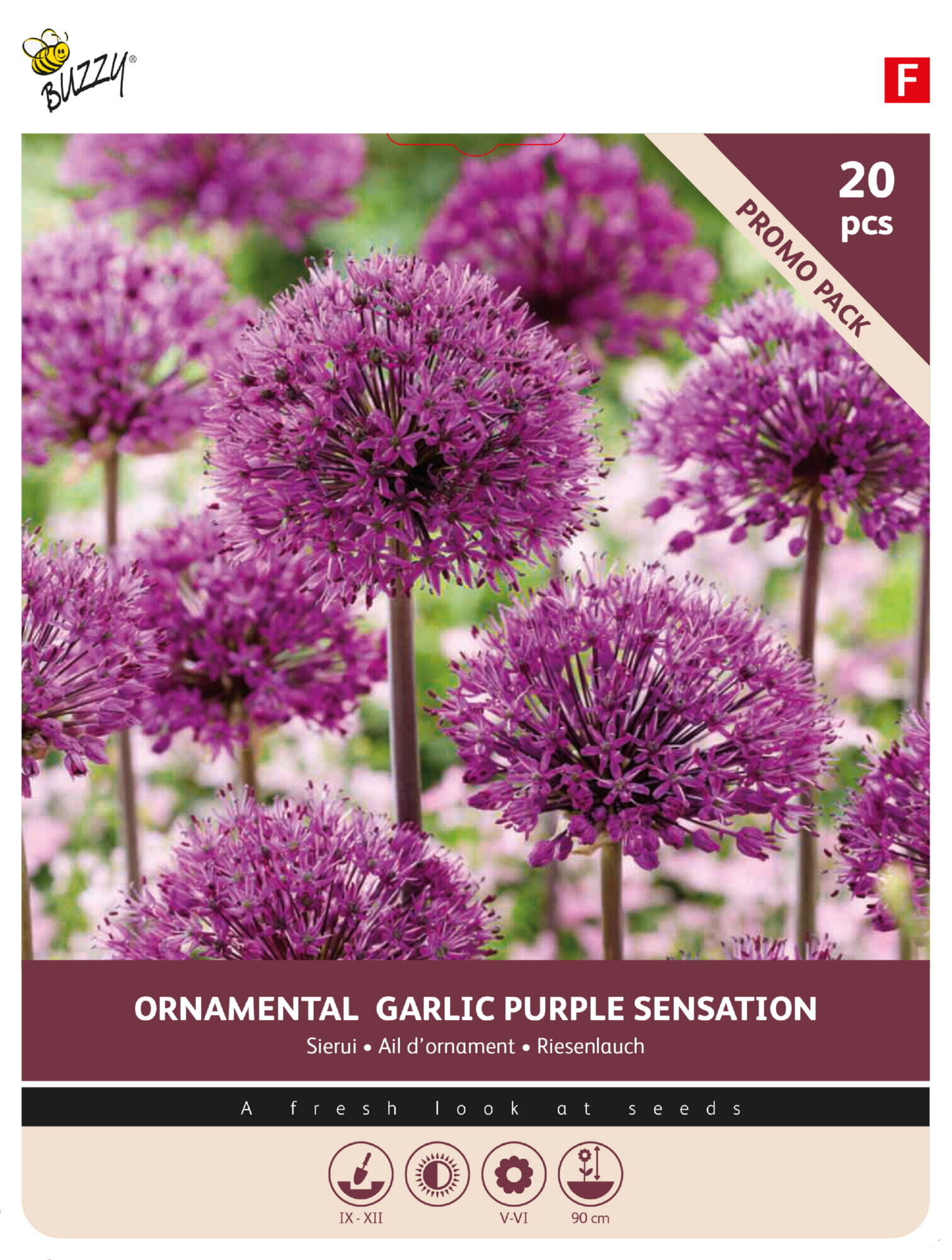 Buzzy® Bulbs Allium Purple Sensation 10/12 20pc.