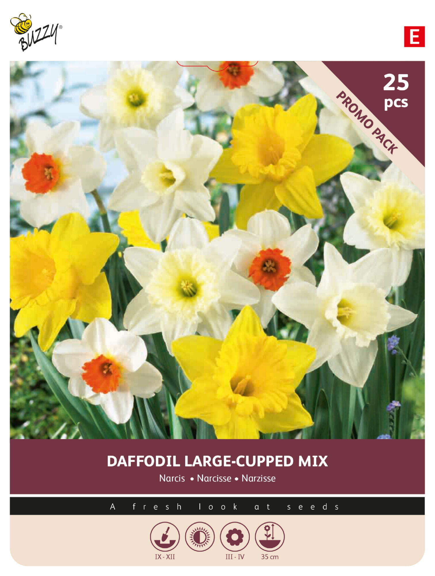 Buzzy® Bulbs Narcis Grootbloemig gemengd 10/12 25st.