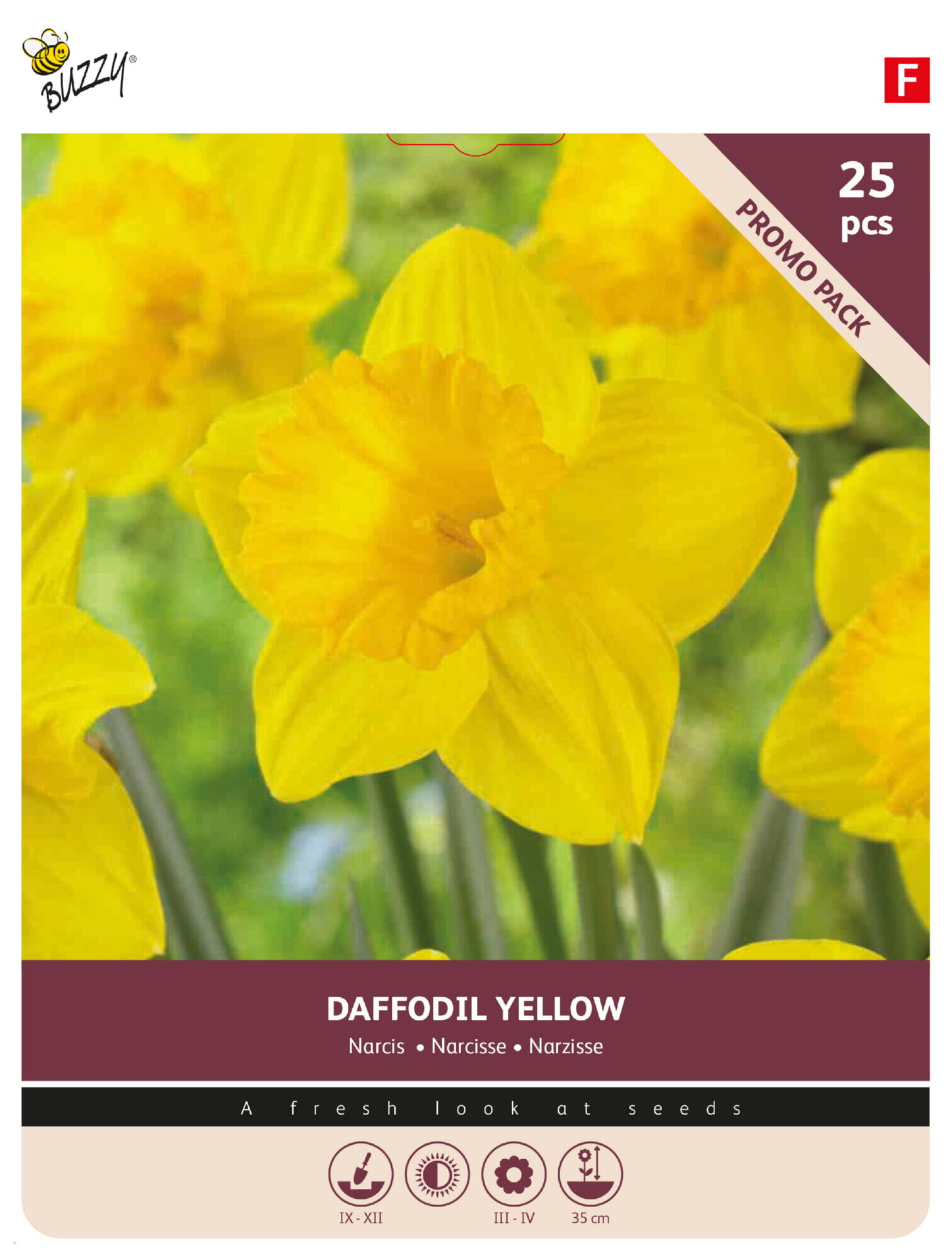 Buzzy® Bulbs Narcissus Large cupped yellow 10/12 25pcs.