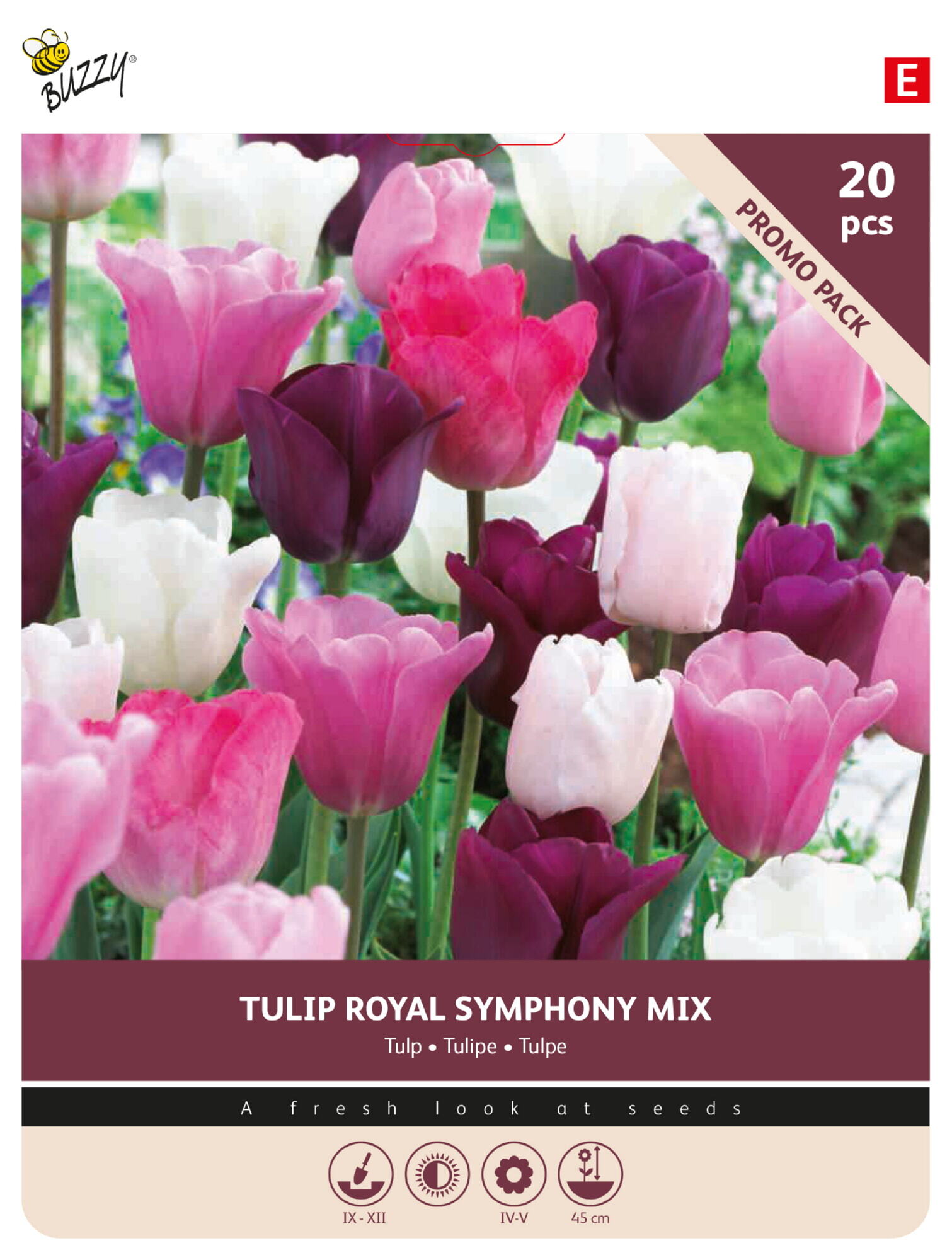 Buzzy® Bulbs Tulip Royal Symphony 11/12 20pc.