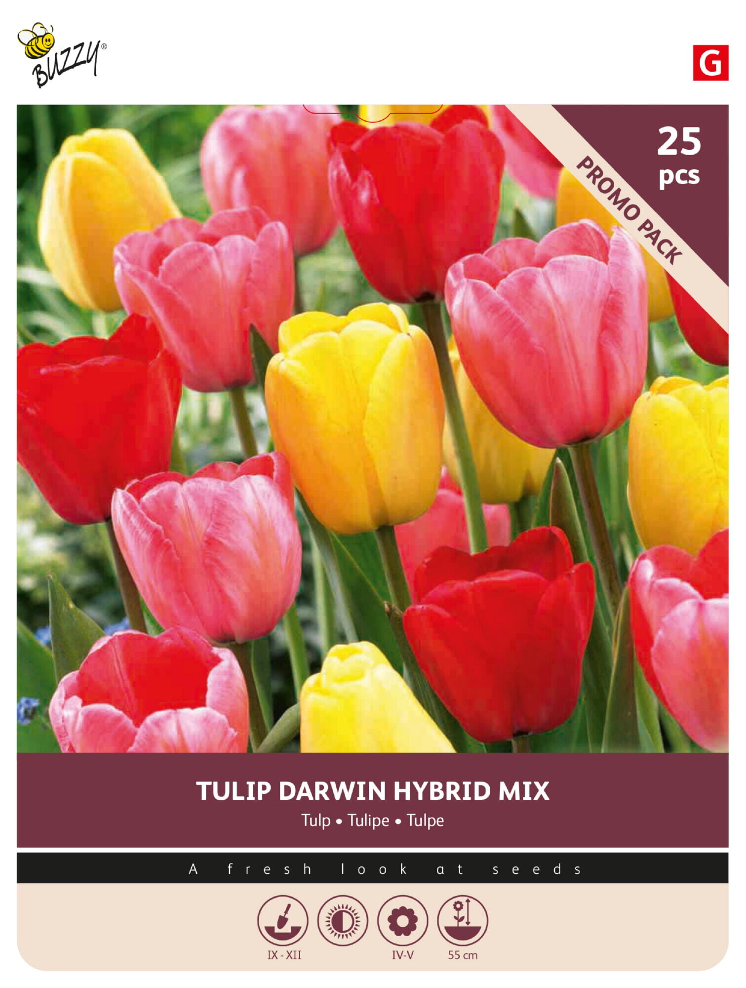 Buzzy® Bulbs Tulp Darwin gemengd 11/12 25st.